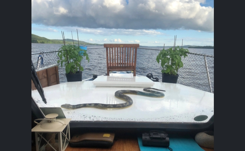 Omavalmiste Muu malli-kuva-11